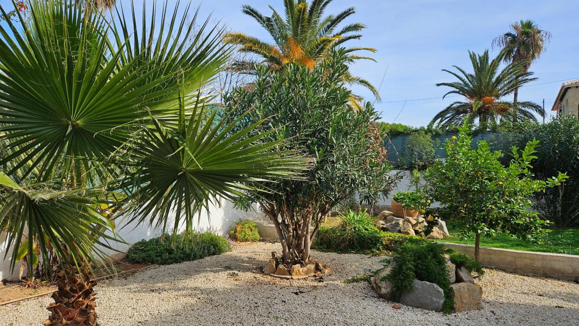 Villa Altomira Dénia Esterno foto