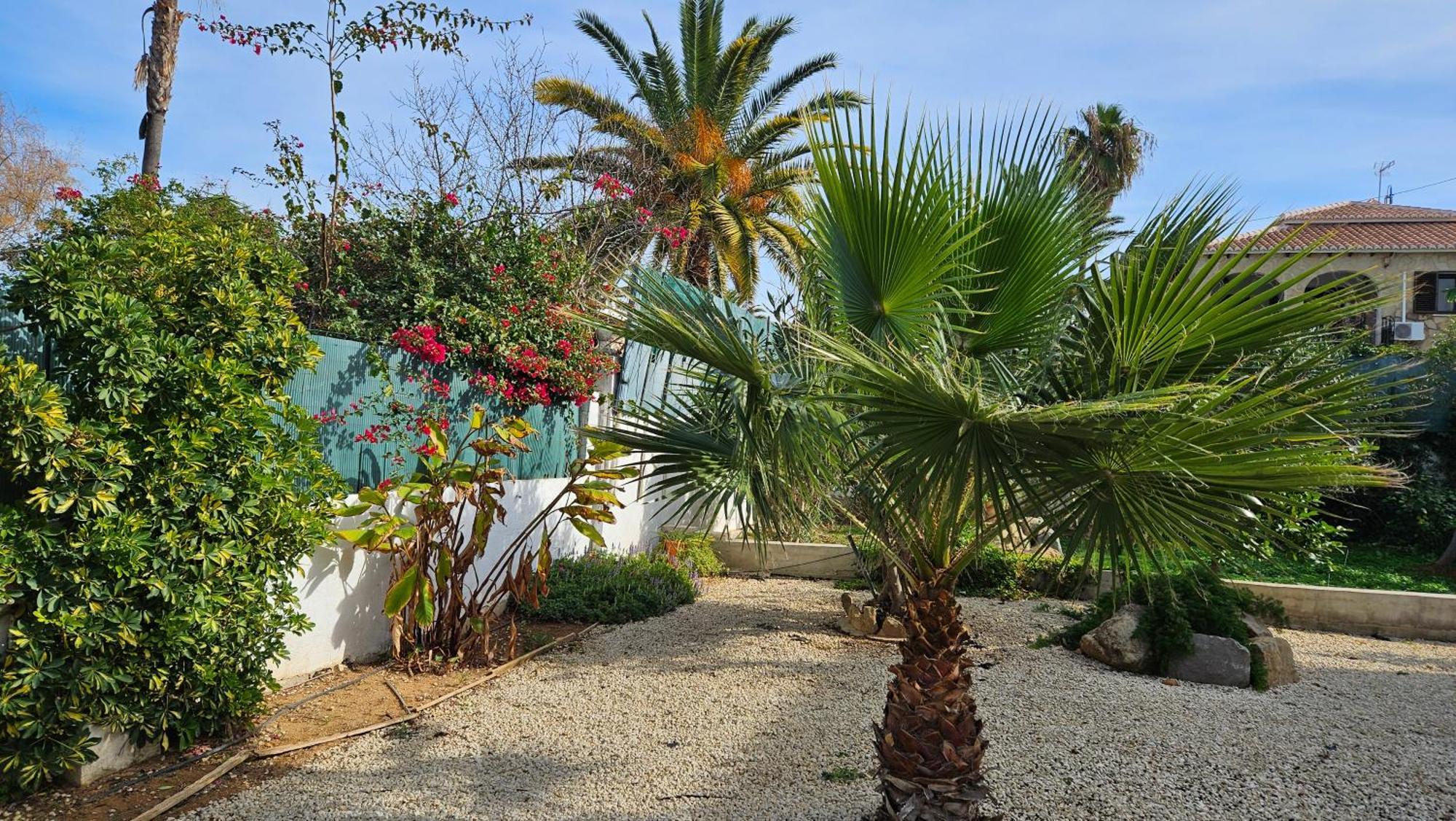 Villa Altomira Dénia Esterno foto