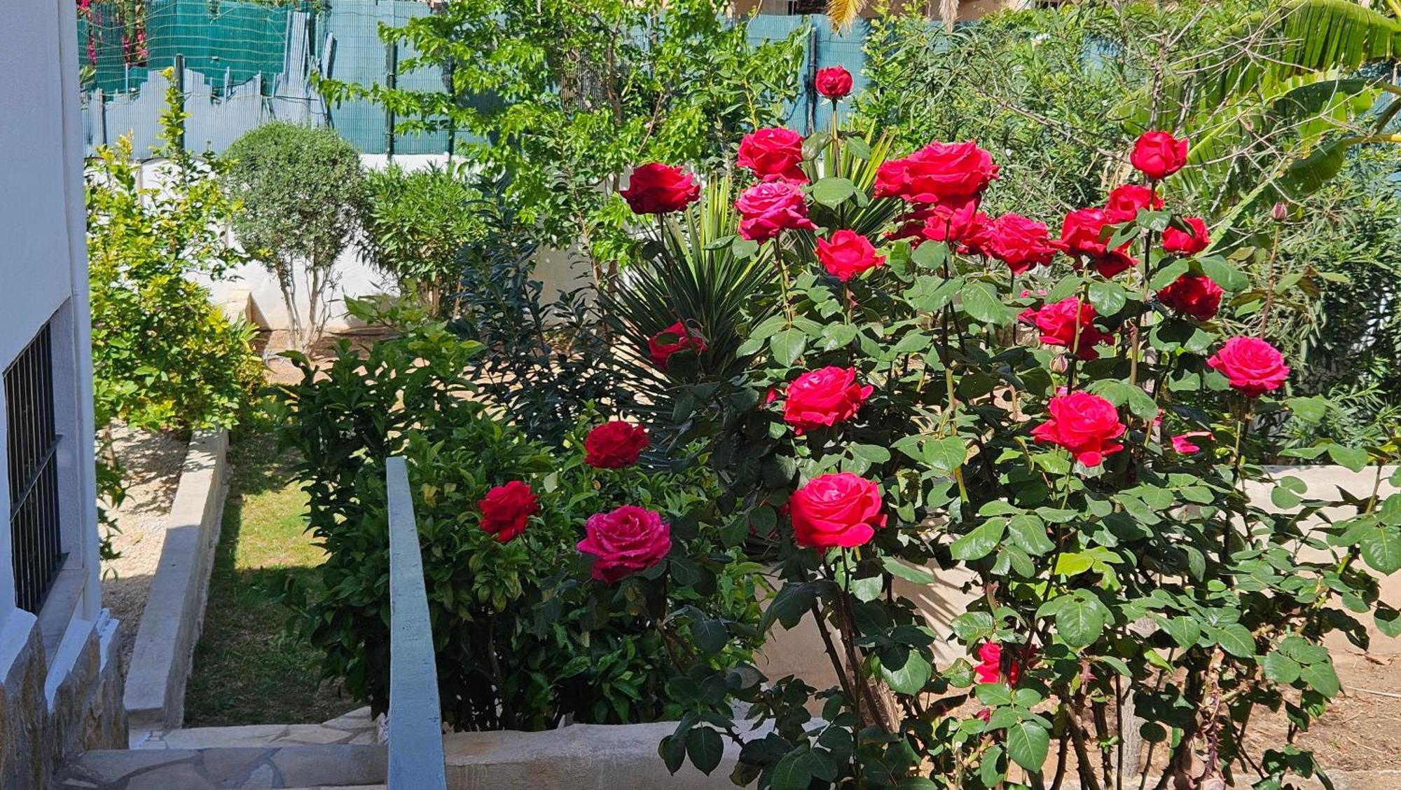 Villa Altomira Dénia Esterno foto