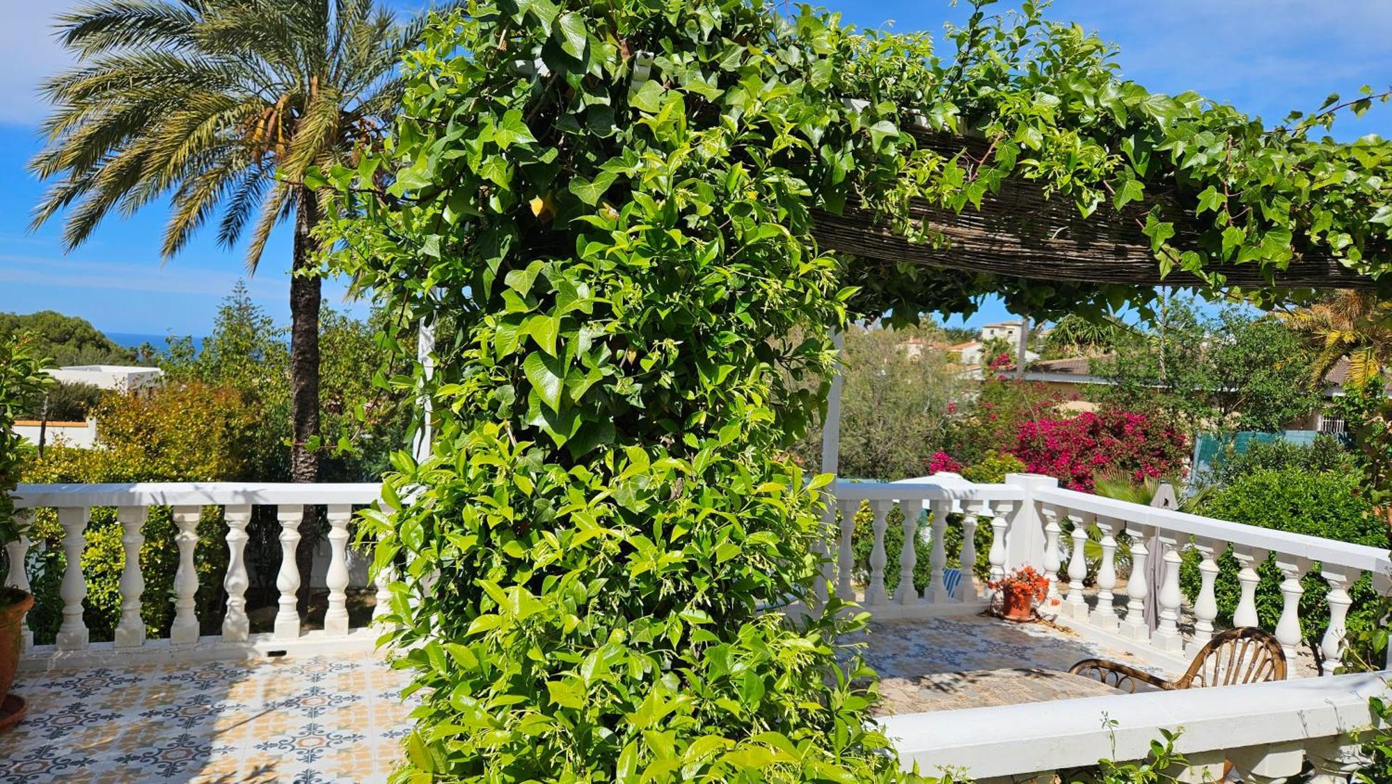 Villa Altomira Dénia Esterno foto